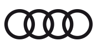 Amorph Systems client Audi